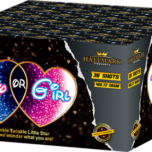 Boy or Girl Gender Reveal