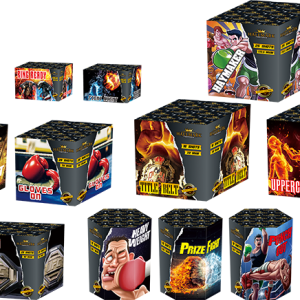The Punch Bag